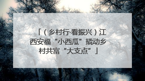 （乡村行·看振兴）江西安福“小西瓜”撬动乡村共富“大支点”