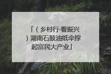 （乡村行·看振兴）湖南石鼓油纸伞撑起富民大产业