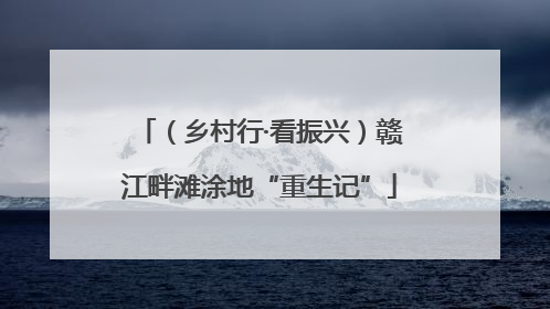 （乡村行·看振兴）赣江畔滩涂地“重生记”