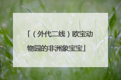 （外代二线）欧宝动物园的非洲象宝宝