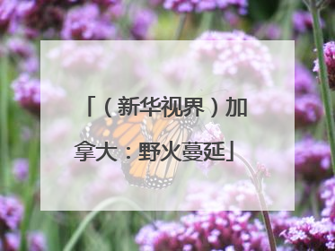 （新华视界）加拿大：野火蔓延