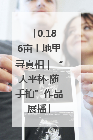 0.186亩土地里寻真相｜“天平杯·随手拍”作品展播