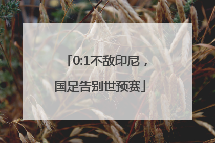 0:1不敌印尼，国足告别世预赛