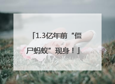 1.3亿年前“僵尸蚂蚁”现身！