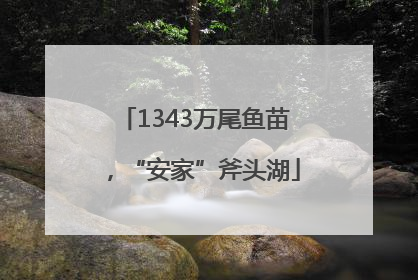 1343万尾鱼苗，“安家”斧头湖