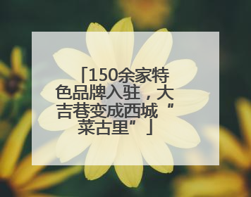 150余家特色品牌入驻，大吉巷变成西城“菜古里”