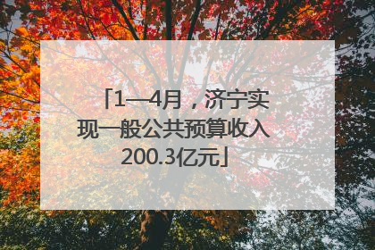 1—4月，济宁实现一般公共预算收入200.3亿元