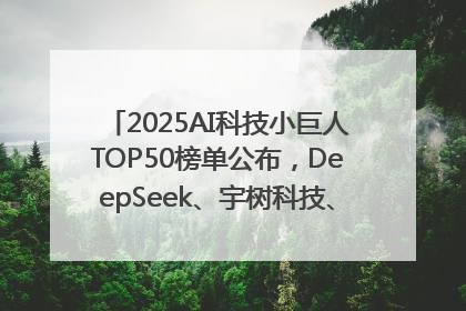 2025AI科技小巨人TOP50榜单公布，DeepSeek、宇树科技、蘑菇车联等企业荣誉上榜