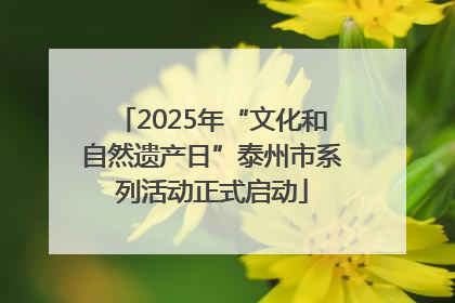 2025年“文化和自然遗产日”泰州市系列活动正式启动