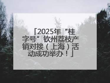 2025年“桂字号”钦州荔枝产销对接（上海）活动成功举办！