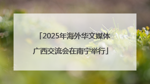 2025年海外华文媒体广西交流会在南宁举行
