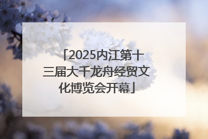 2025内江第十三届大千龙舟经贸文化博览会开幕
