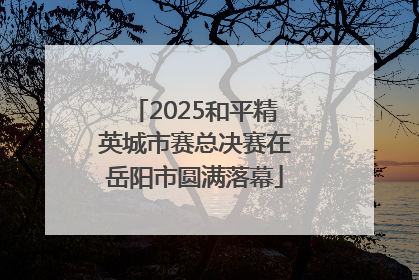 2025和平精英城市赛总决赛在岳阳市圆满落幕