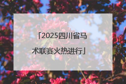 2025四川省马术联赛火热进行