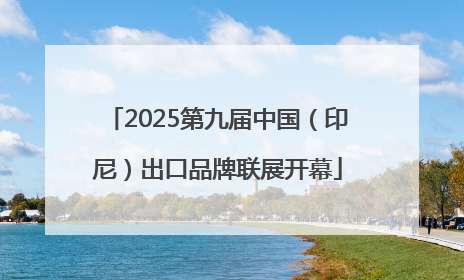2025第九届中国（印尼）出口品牌联展开幕