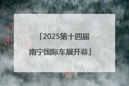 2025第十四届南宁国际车展开幕