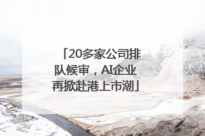 20多家公司排队候审，AI企业再掀赴港上市潮