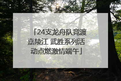 24支龙舟队竞渡嘉陵江 武胜系列活动点燃激情端午