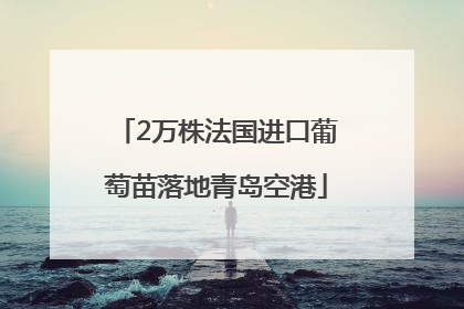 2万株法国进口葡萄苗落地青岛空港