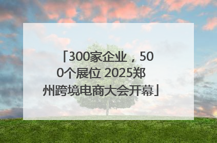 300家企业，500个展位 2025郑州跨境电商大会开幕