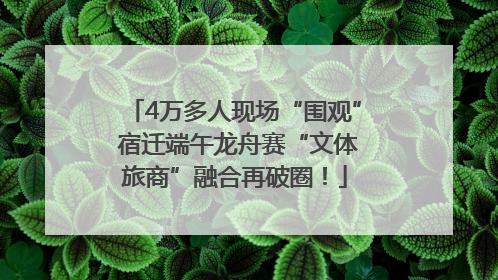 4万多人现场“围观” 宿迁端午龙舟赛“文体旅商”融合再破圈！