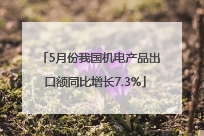 5月份我国机电产品出口额同比增长7.3%