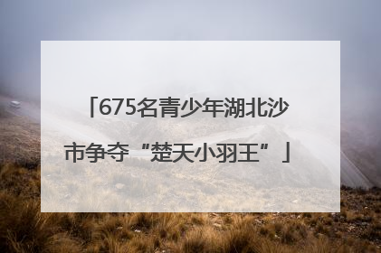 675名青少年湖北沙市争夺“楚天小羽王”