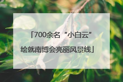 700余名“小白云”绘就南博会亮丽风景线