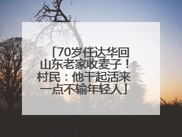70岁任达华回山东老家收麦子！村民：他干起活来一点不输年轻人