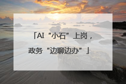 AI“小石”上岗，政务“边聊边办”