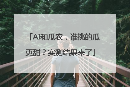 AI和瓜农，谁挑的瓜更甜？实测结果来了