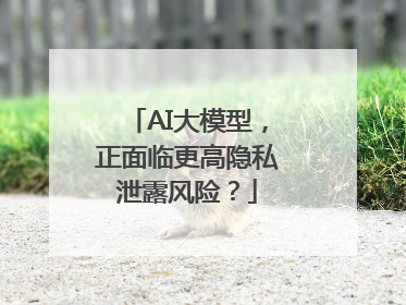 AI大模型，正面临更高隐私泄露风险？