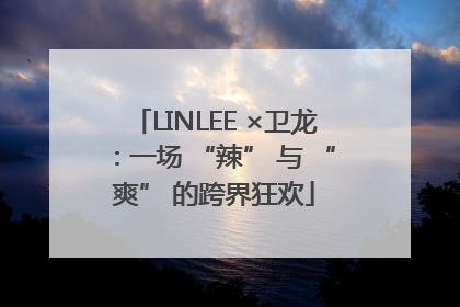 LINLEE ×卫龙：一场 “辣” 与 “爽” 的跨界狂欢