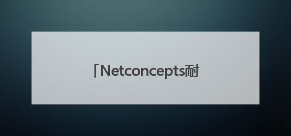 Netconcepts耐特康赛斩获第十六届虎啸奖“年度综合服务商”大奖