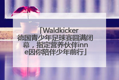Waldkicker德国青少年足球赛圆满闭幕，指定营养伙伴inne因你陪伴少年前行